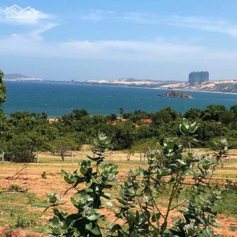 Bán 10,744m2 đất thị trấn chợ lầu cách biển hoà thắng 2km chỉ 145k/m2 Lh 0938677909 Hiền xem sổ