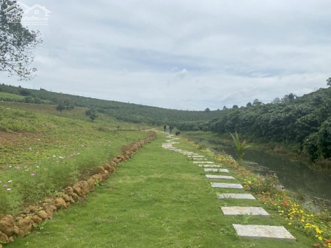 The Venica Bảo Lộc - Đầu tư đất nghỉ dưỡng, Sổ hồng riêng chỉ với 300tr/Nền.