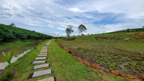 The Venica Bảo Lộc - Đầu tư đất nghỉ dưỡng, Sổ hồng riêng chỉ với 300tr/Nền.
