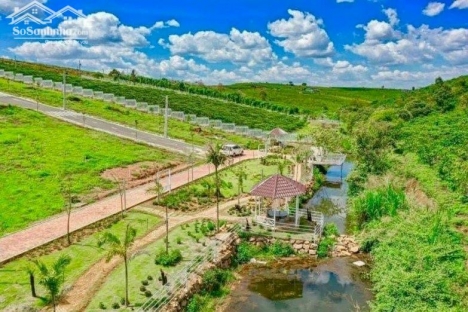 The Venica Bảo Lộc - Đầu tư đất nghỉ dưỡng, Sổ hồng riêng chỉ với 300tr/Nền.