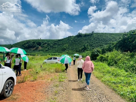 Chính chủ bán đất nghỉ dưỡng - view hồ siêu đẹp 510m2 (9,6x54m) giá 919 tr tại Bảo Lâm, Lâm Đồng