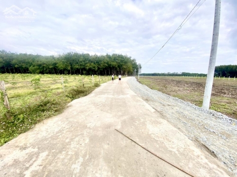 đất chơn thành, minh lập 250m2 thổ cư 100m hỗ trợ vay sát kcn
