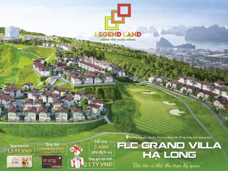 xu hướng bt đồi cùng flc halong