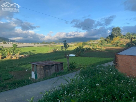 Chỉ từ 442tr đến 645tr đã sở hữu ngay cho mình lô đất giá đầu tư