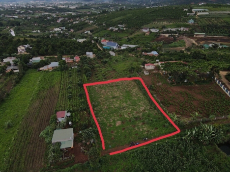 Chủ nhờ bán lô đất đầu tư siêu hot tại Đông Thanh, Lâm Đồng, thích hợp đầu tư nghỉ dưỡng, cách Đà
