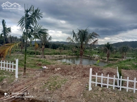 1312m2. Sẵn luôn ao cá   Có cả hàng rào xinh xinh