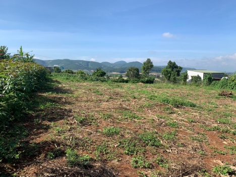 Chủ nhờ bán lô đất đầu tư siêu hot tại Đông Thanh, Lâm Đồng, thích hợp đầu tư nghỉ dưỡng, cách Đà