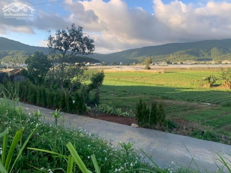 Chỉ từ 442tr đến 645tr đã sở hữu ngay cho mình lô đất giá đầu tư