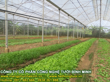 Bán lưới chắn côn trùng xuất xứ Israel,lưới chắn côn trùng Politiv,lưới chắn côn trùng nhập khẩu
