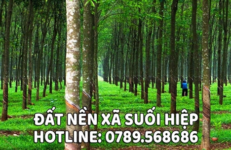 Bất Động Sản, Đất Nền Xã Suối Hiệp, Diên Khánh