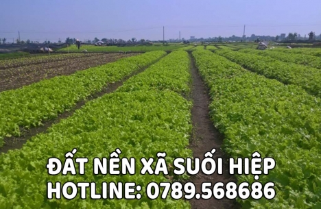 Bất Động Sản, Đất Nền Xã Suối Hiệp, Diên Khánh