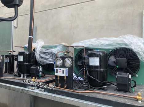 cụm máy nén kulthorn 2,45hp CAW 2495ZB-9
