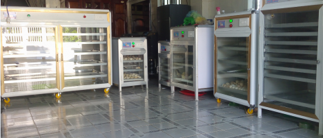 Máy ấp trứng gia cầm Tây Ninh - Nguyễn Hùng