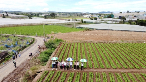 Bán Đất Đơn Dương Nhanh Tay Đầu Tư Nào!!! (12 Lô Đất Thổ Cư 72m2)
