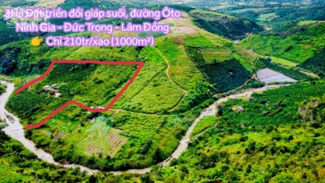 3Ha đất triền đồi + giáp suối Đức Trọng, đường Oto chỉ 210tr/xào