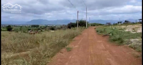 Bán 12,353.8m2 đất vườn hồng thái giá ưu đãi tháng 11 chỉ 115k/m2, tháng 12 tăng 5k, vuông gần đường