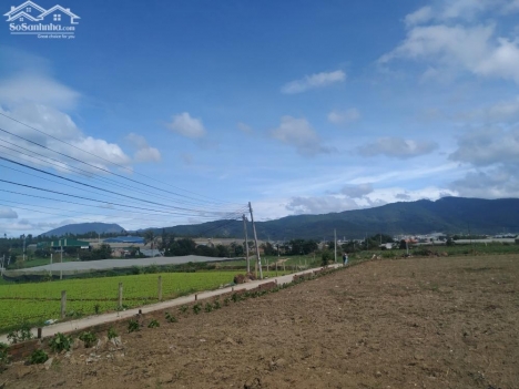 Bán gấp đất Thạnh Mỹ giá chỉ 560tr