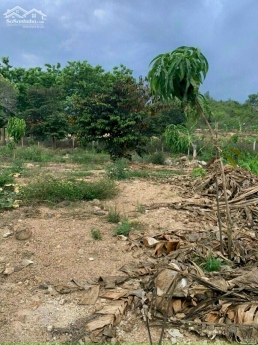 Đất vườn diên thọ giá ít trăm nghìn 1 mét vuông