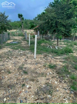 Đất vườn diên thọ giá ít trăm nghìn 1 mét vuông