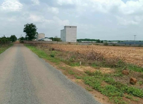 Vườn Trái Cây 3 Ngàn M2 (3000m2) Ngay Thị Xã