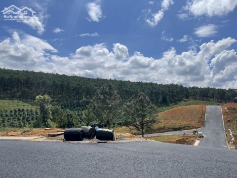 Biệt thự sinh thái nghĩ dưỡng tại Bảo Lâm, Lâm Đồng