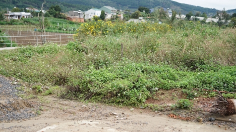 Chính Chủ Cần Bán Gấp 2 Lô Góc 2 Mặt Tiền Có Sẵn 205m2 Thổ Cư, Quá Rẻ!!! (Đất Ven Đà Lạt)