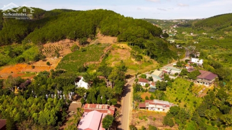 Nửa sào nghỉ dưỡng có thổ cư giá 950 triệu gần chùa Linh Ẩn- Lâm Hà.