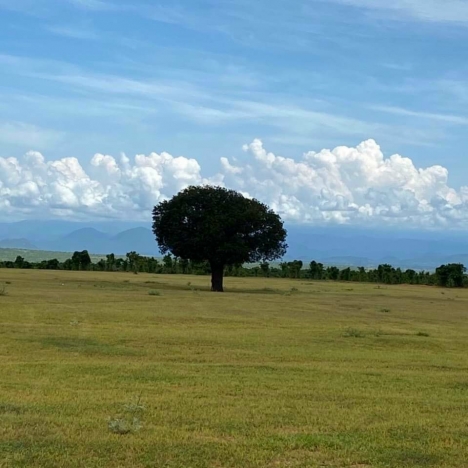 Đất SHR Ngay KDL Safari 3.300ha Giá Chỉ 85.000đ/m2 Tin Được Không ????