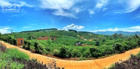 Đất đầu tư thuộc quy hoạch đất ở thị trấn Nam Ban