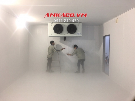 Lắp đặt kho lạnh bảo quản hoa tươi chuẩn bị cho dịp lễ, tết