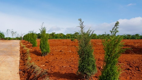 Bán Đất Tại Nam Hà Center View 02 Đất Ven Đà Lạt Giá Rẻ Chỉ Từ 950tr/500m2