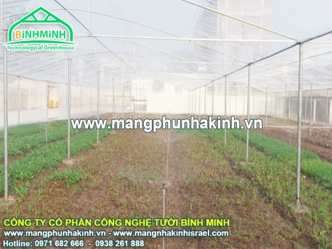 Cung cấp lưới chắn côn trùng Politiv,lưới chắn côn trùng Israel,lưới chắn côn trùng nhập khẩu