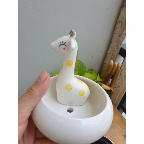 Khuyến mãi cuối năm mua cây cảnh mini ngay tại Cây Xanh Store