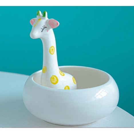 Khuyến mãi cuối năm mua cây cảnh mini ngay tại Cây Xanh Store
