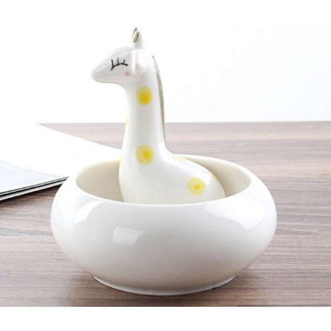 Khuyến mãi cuối năm mua cây cảnh mini ngay tại Cây Xanh Store