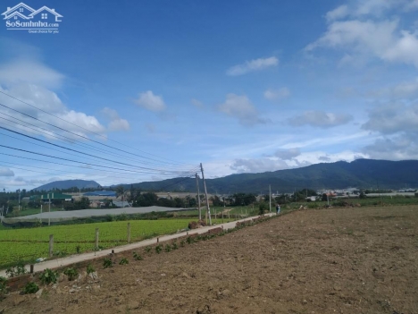 Bán lô đất 5.3x24.8m sẵn 100m2 thổ cư TT. Thạnh Mỹ- Đơn Dương giá 560 triệu.