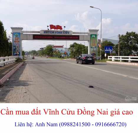 Mua gấp đất Bình Lợi, Vĩnh Cửu giá cao, mua chính chủ, thiện chí mua, chịu phí sang tên