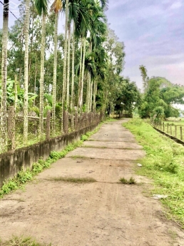 Lô đất  sát Hòa Tiến có sổ đường bê tông 5m view cánh đồng