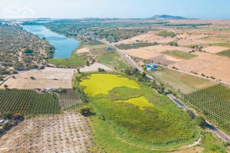 Cần bán gấp lô đất view biển TT Chợ lầu - Phan Rí Thành đối diên khu làm resort 200ha DT 5858m2 giá