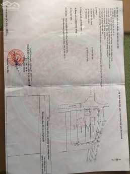 Hoàng Tân - Hạ Long Xanh - Vingroup