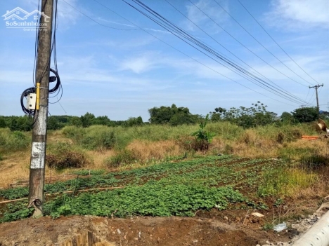 ĐẤT KHU CÔNG NGHIỆP BÀU XÉO_THỊ TRẤN TRẢNG BOM