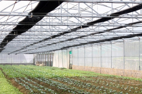 Nẹp zíc zắc mua ở đâu giá tốt, thanh nẹp zíc zắc ở hầ nội, nẹp cài màng nhà kính giá rẻ