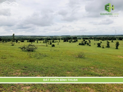 Bán 12,403m2 đất nền bắc bình cạnh đường liên xã ra biển hoà thắng chỉ 135k/m2, nở hậu Lh 0938677909