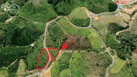 Bán đất 2 mặt tiền đường nhựa tại Lộc Bắc Bảo Lâm Lâm Đồng