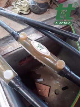 Hộp nối hạ thế đổ keo Resin 0,6/1KV TTE