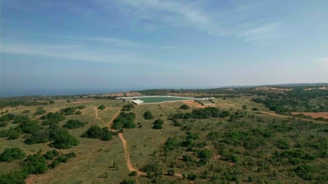 Đất Chợ Lầu SHR View Biển Tiện Làm FarmStay Giá 820 Triệu/5858m2