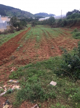 Chính chủ cần bán 6000m2 đất Tà Nung, Đà Lạt
