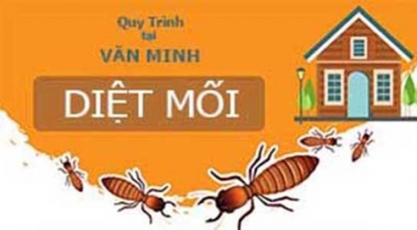 Diệt mối tận gốc ở Tp. Hồ Chí Minh bảo hành lên đến 5 năm