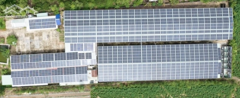 Bán gấp nhà xưởng 1 hecta tại Châu Pha, Phú Mỹ có dự án điện NLMT trị giá hơn 16 tỷ doanh thu 250 tr