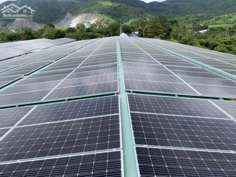 Bán gấp nhà xưởng 1 hecta tại Châu Pha, Phú Mỹ có dự án điện NLMT trị giá hơn 16 tỷ doanh thu 250 tr